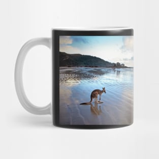 Kangaroo, Cape Hillsborough, Queensland Mug